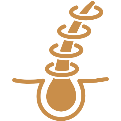 1725608988445_33.png