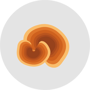 92a43dbf69e2e1664a.png