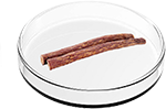 1744880483384_licorice.png