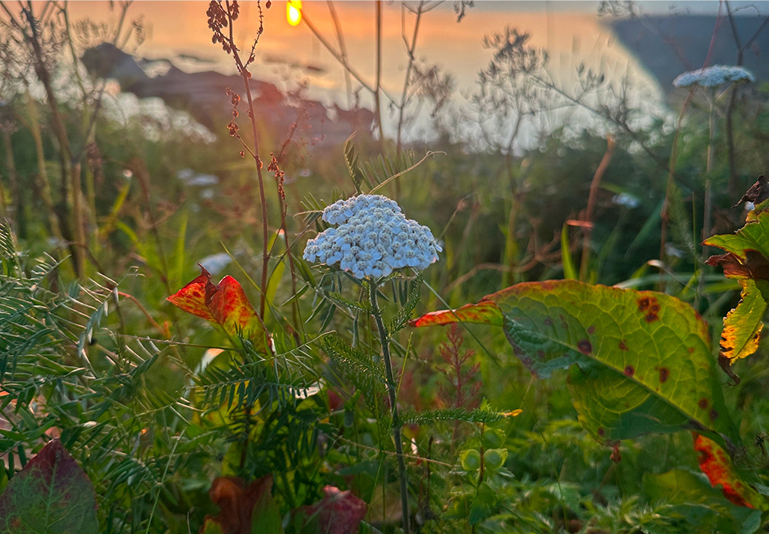 3d32852f3922a187e7.jpg