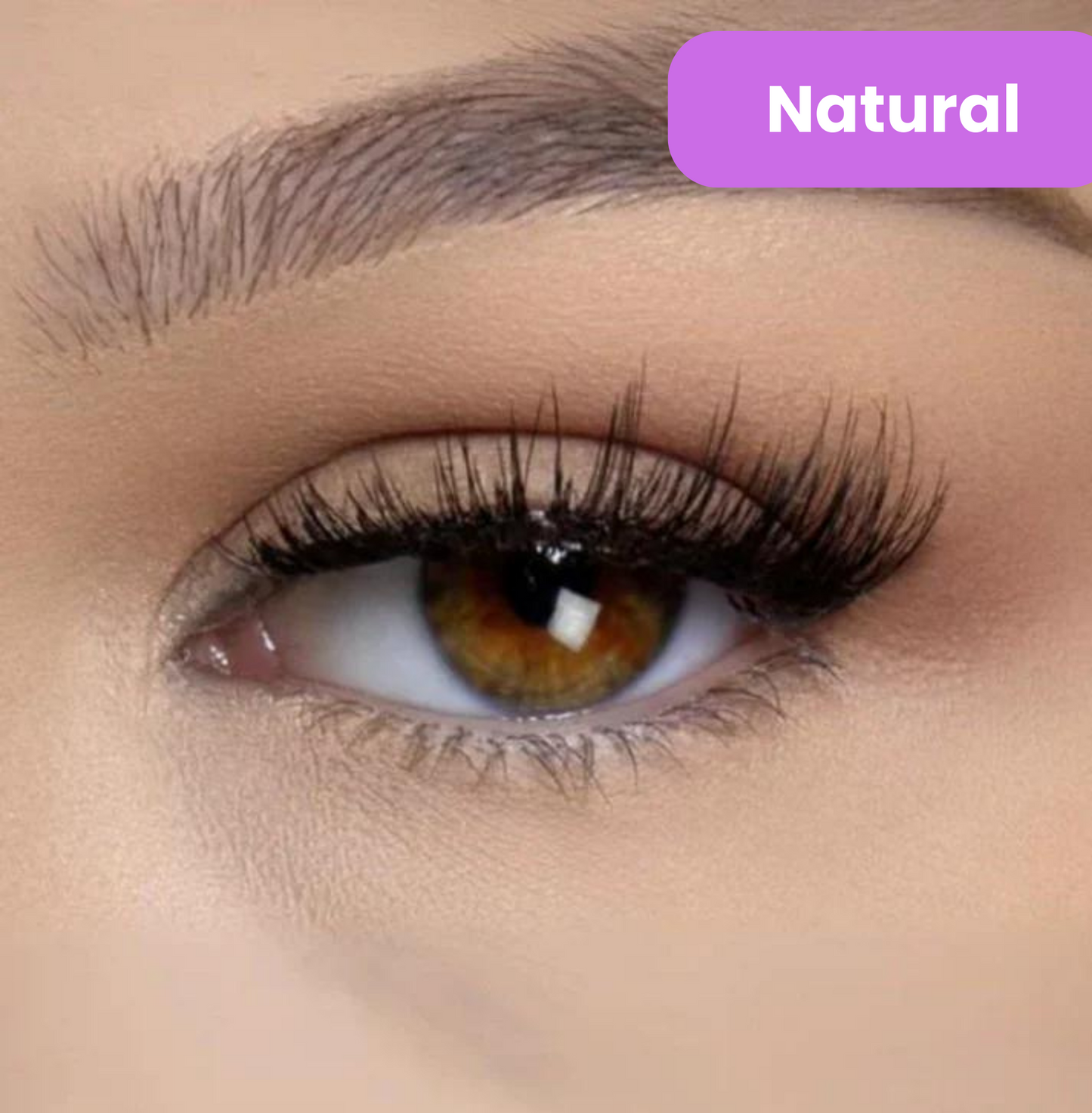 Vitaliaina Magnetic Lashes