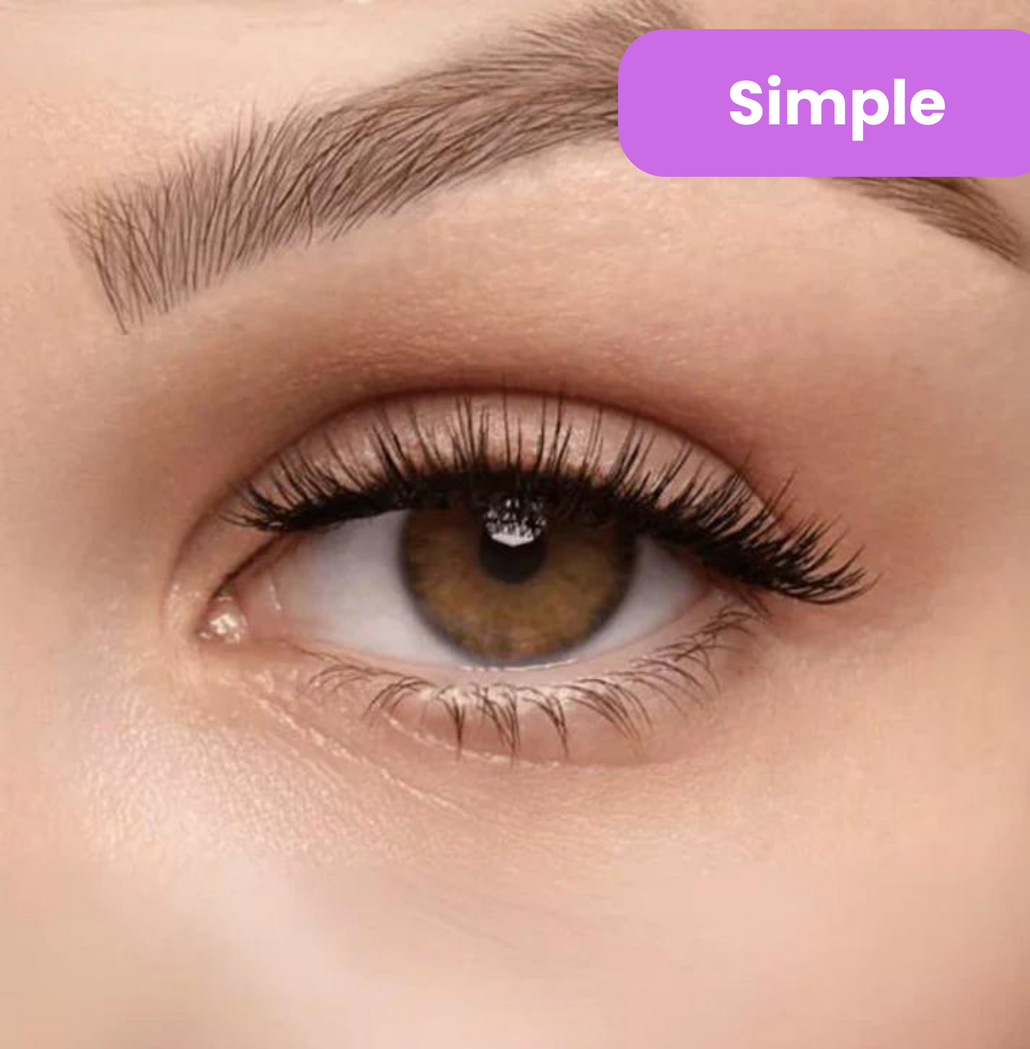 Vitaliaina Magnetic Lashes